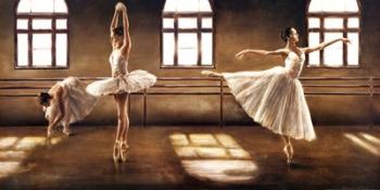 Ballet | Obraz na stenu