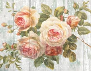 Vintage Roses on Driftwood | Obraz na stenu