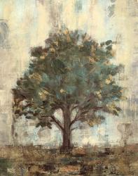 Verdi Trees I | Obraz na stenu