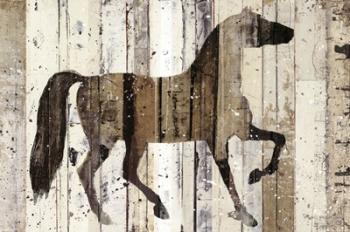 Dark Horse | Obraz na stenu