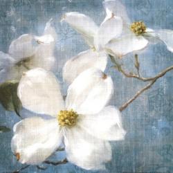 Indiness Blossom Square Vintage I | Obraz na stenu