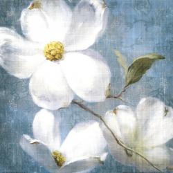 Indiness Blossom Square Vintage IV | Obraz na stenu
