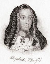Elizabeth of York, 1466  1503. Queen consort of England from 1486 until her death, as the wife of Henry VII. From Crabb's Historical Dictionary, published 1825 | Obraz na stenu