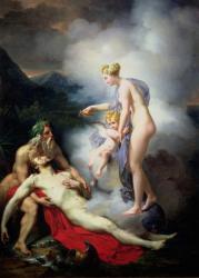 Venus heals Adonis (oil on canvas) | Obraz na stenu