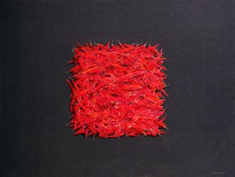 Chillies (oil on canvas) | Obraz na stenu