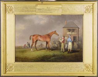 Portrait of 'Quiz', the property of Lord Rous, after his last race at Newmarket (oil on canvas) | Obraz na stenu