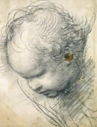 Head of a Cherub (black chalk and charcoal on paper) | Obraz na stenu