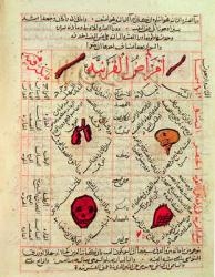 Page from the 'Canon of Medicine' by Avicenna (Ibn Sina) (980-1037) (vellum) | Obraz na stenu