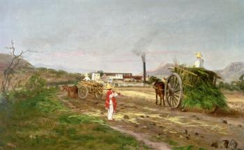 Peasants Collecting Sugar Cane, Central America, c.1840 (oil on canvas) | Obraz na stenu