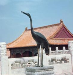 Statue of a stork with a side pavilion of the Hall of Supreme Harmony in the background, Ming Dynasty (photo) | Obraz na stenu