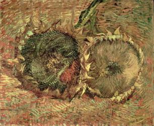 Two Cut Sunflowers, 1887 (oil on canvas) | Obraz na stenu