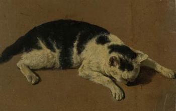 Cat lying down (oil brush drawing) | Obraz na stenu