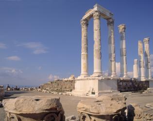 Ruins of the Acropolis (photo) | Obraz na stenu