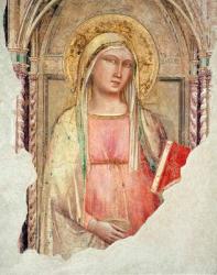 Madonna del Parto (fresco) | Obraz na stenu