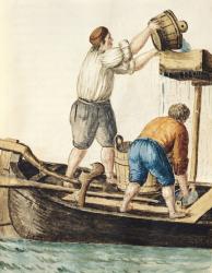 Boatmen Pouring Fresh Water into the Pipelines (w/c on paper) | Obraz na stenu