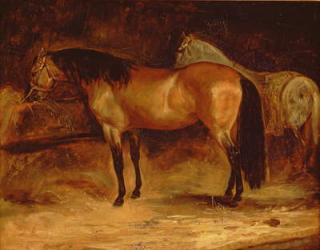 A Bay Horse at a manger, with a grey horse in a rug | Obraz na stenu