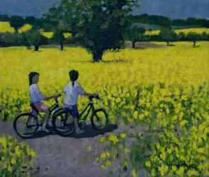 Yellow Field, Kedleston, Derby (oil on canvas) | Obraz na stenu
