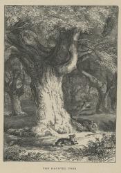 The haunted tree (engraving) | Obraz na stenu
