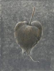 Barringtonia Acutangula (acrylic on paper) | Obraz na stenu