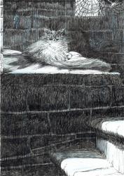 page21, The Castle in the Forest of Findhorn, 2006, (ink on paper) | Obraz na stenu