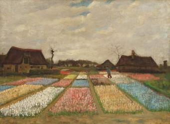 Flower Beds in Holland, c.1883 (oil on canvas on wood) | Obraz na stenu