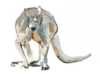 Boxer (Red Kangaroo), 2012, (watercolour and pigment on paper) | Obraz na stenu