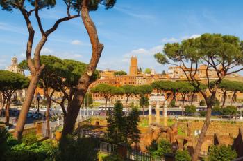 Trajan's Forum and market dating from the second century AD (photo) | Obraz na stenu