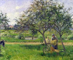 The Wheelbarrow, Orchard, c.1881 (oil on canvas) | Obraz na stenu