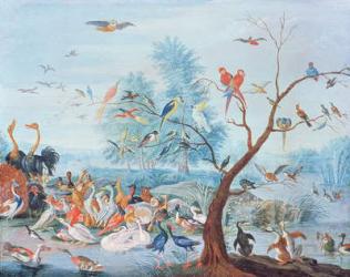 Tropical birds in a landscape (oil on panel) | Obraz na stenu