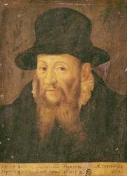 Jacques Cujas (1522-90) aged 65 (oil on canvas) | Obraz na stenu