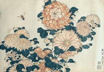 Chrysanthemums (colour woodblock print) | Obraz na stenu