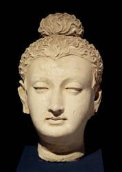 Head of a Buddha, Greco-Buddhist style, from Hadda (stucco) | Obraz na stenu