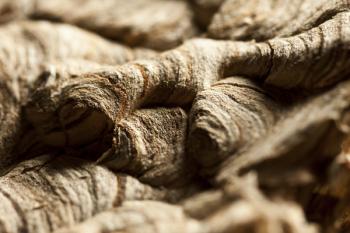 Wasp Nest II | Obraz na stenu
