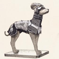 Hound in body armour (coloured engraving) | Obraz na stenu