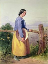 A country girl standing by a fence | Obraz na stenu