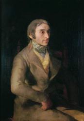 Don Manuel Silvela (1781-1832) c.1809-12 (oil on canvas) | Obraz na stenu