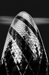 The Gherkin, 2017, (Direct Print on Brushed Aluminium, BUTLERFINISH® Look) | Obraz na stenu