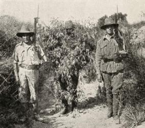 A Turkish sniper, disguised as a bush, in custody after being captured by ANZAC troops, from 'The Great War: A History', volume III, 1916 (litho) | Obraz na stenu