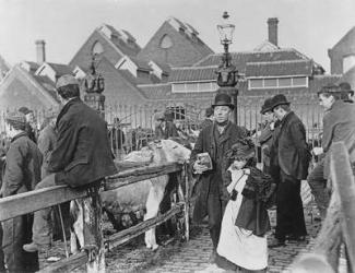 British village cattle market, Victorian, 19th century (photograph) | Obraz na stenu