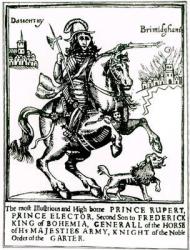 Prince Rupert on Horseback (engraving) (b/w photo) | Obraz na stenu