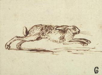 A Hare Running, With Ears Laid Back (pen & ink on paper) | Obraz na stenu