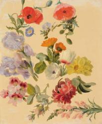 Studies of Summer Flowers (oil on canvas) | Obraz na stenu