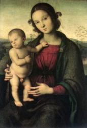 Madonna and Child, c.1495 (oil on canvas) | Obraz na stenu