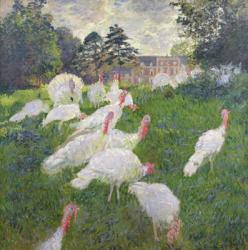 The Turkeys at the Chateau de Rottembourg, Montgeron, 1877 (oil on canvas_ | Obraz na stenu