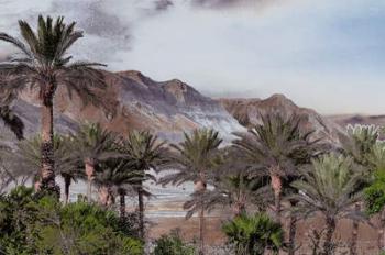 Desert Sky, from the series View from Ein Gedi, 2016 (photograph) | Obraz na stenu