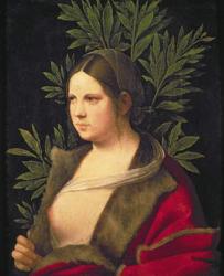 Portrait of a Young Woman (Laura), 1506 | Obraz na stenu