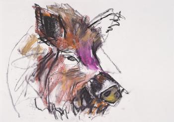 Dzik (mixed media on paper) | Obraz na stenu