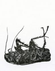 Dead Cockroach, 2014, (wood engraving on paper) | Obraz na stenu