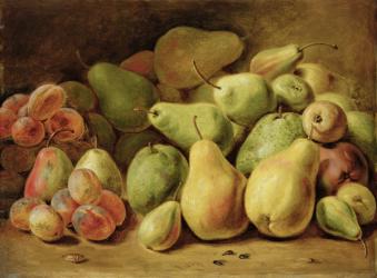 Fruit Still Life (oil on panel) | Obraz na stenu