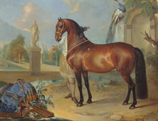 The bay horse' Sincero' | Obraz na stenu